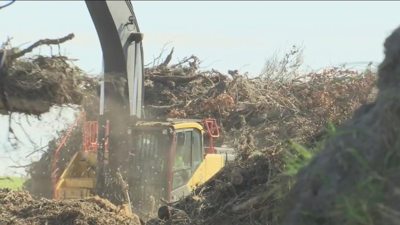 Hurricane debris removal kicking into high gear