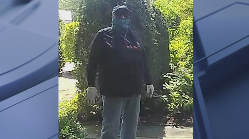 Cook County sheriff warns of ruse burglaries
