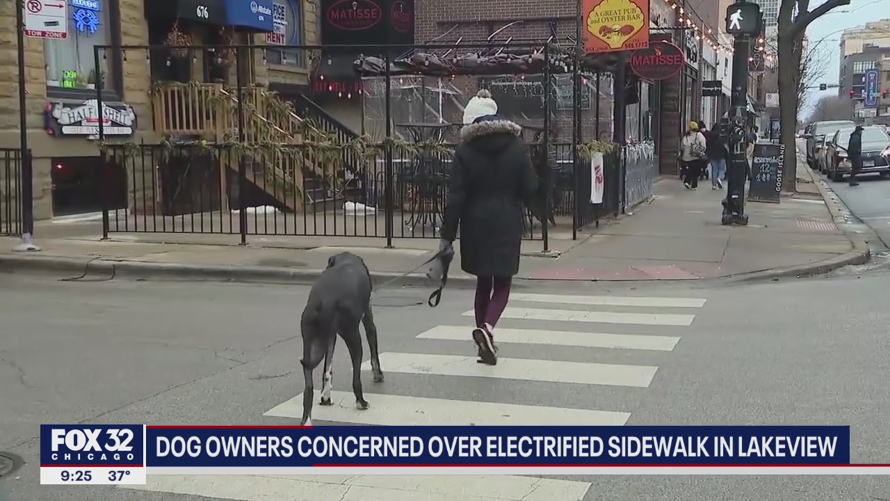 Dog owners in Lake View concerned over 'electrified' sidewalk