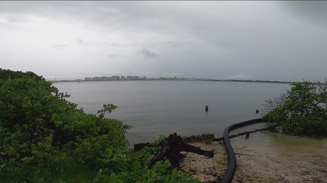 Thousands of trout released into Sarasota Bay