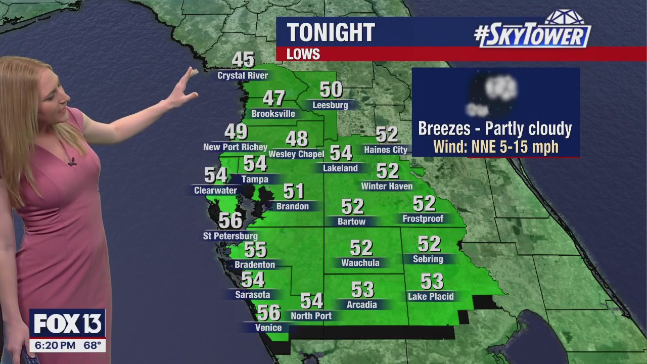 Tampa weather: Cool Sunday evening