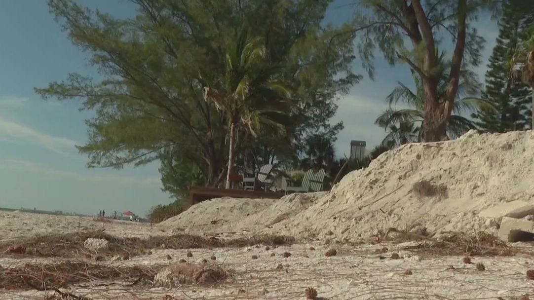 Restoration efforts continue for Treasure Island dunes
