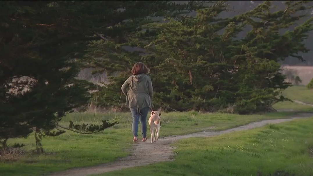 Woman groped on Half Moon Bay walking trail