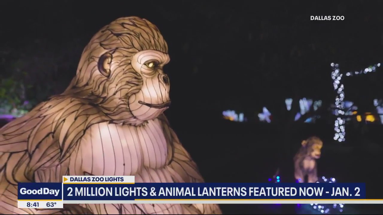 Dallas Zoo Lights features 2M lights and lanterns