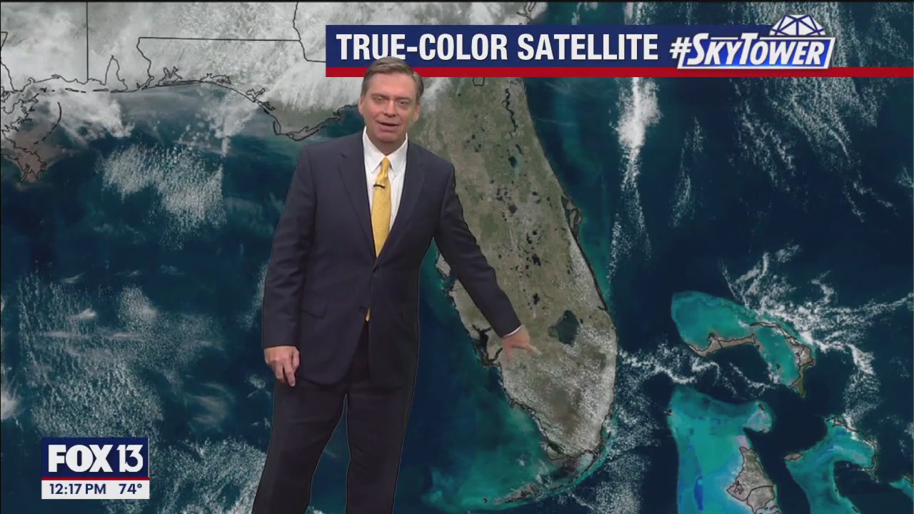 Tampa weather | Sunny sky, warmer temps