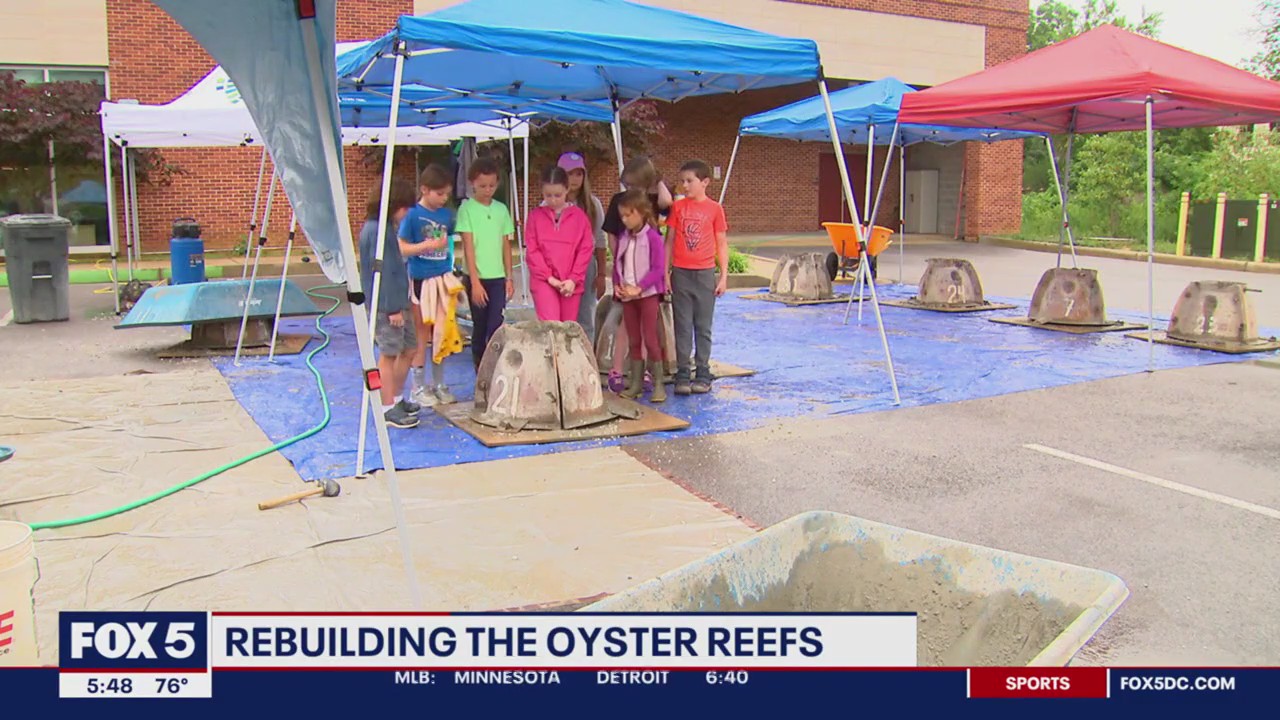 Anne Arundel County Public Library hosts oyster reef-building program