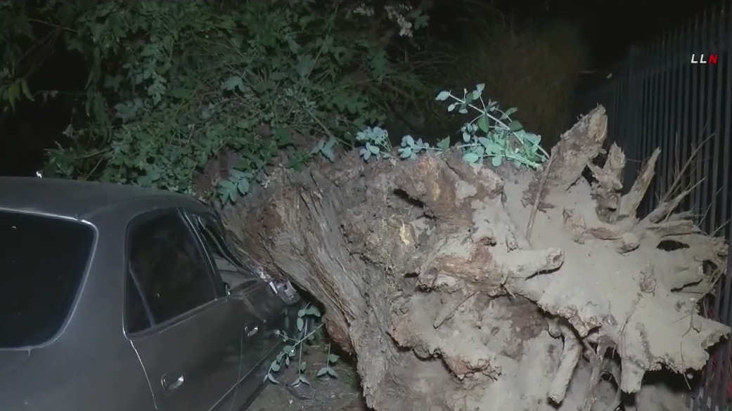 Strong winds whip across SoCal