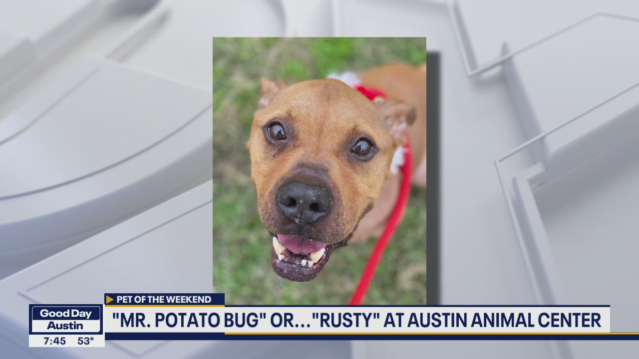 Pet of the Weekend: Rusty