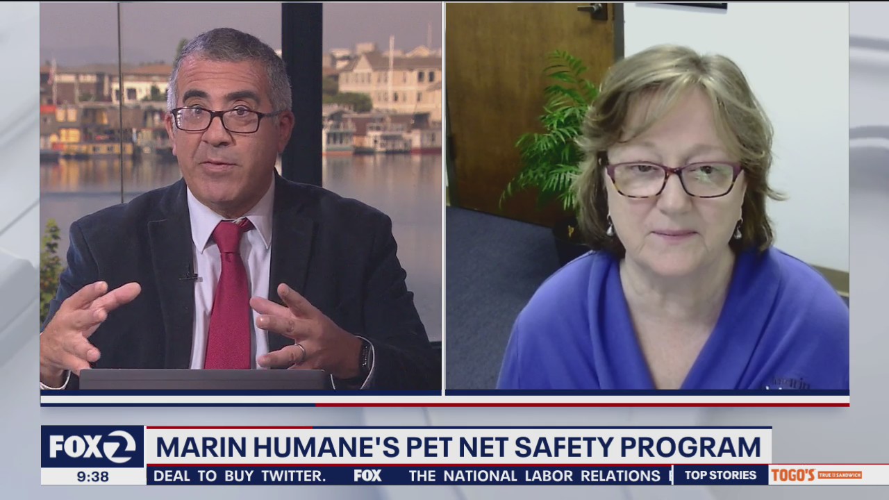 Pet Net Safety Program