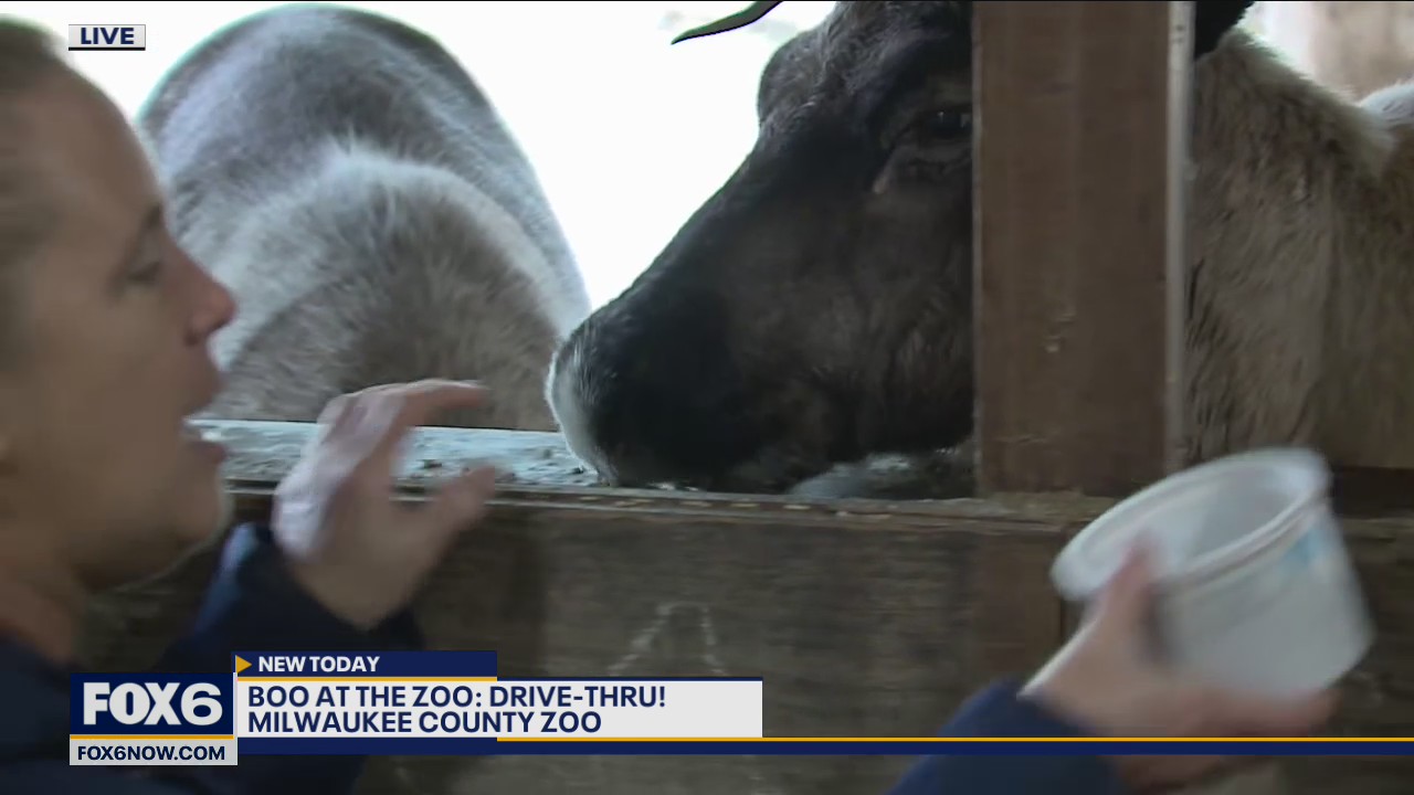 Are you ready to meet another new member of The Milwaukee County Zoo?