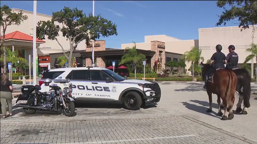 Law enforcement focused on holiday shopping safety