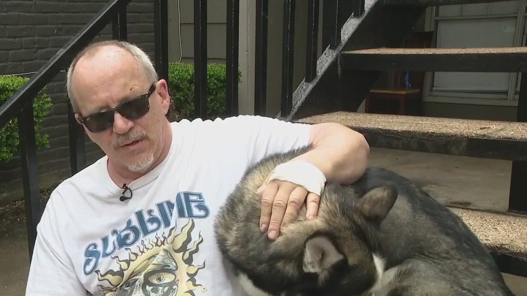 Man shares story of being attacked by stray dog