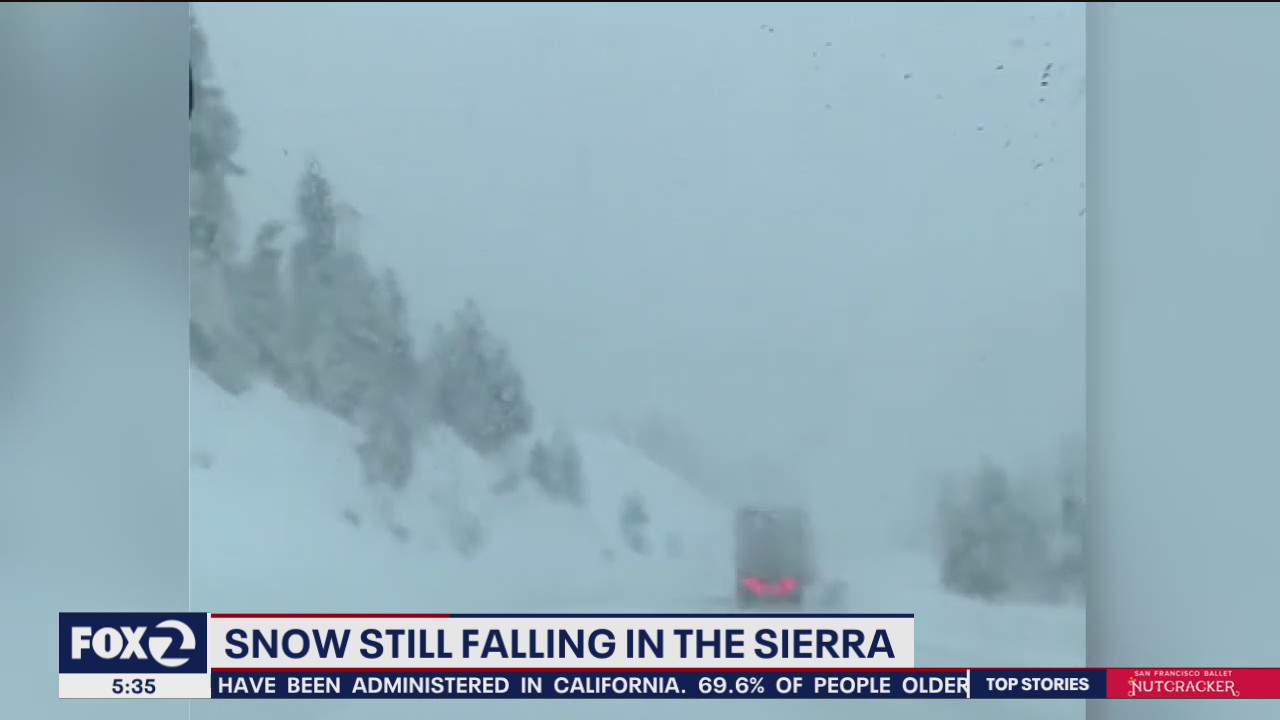 Snow falling in the Sierra