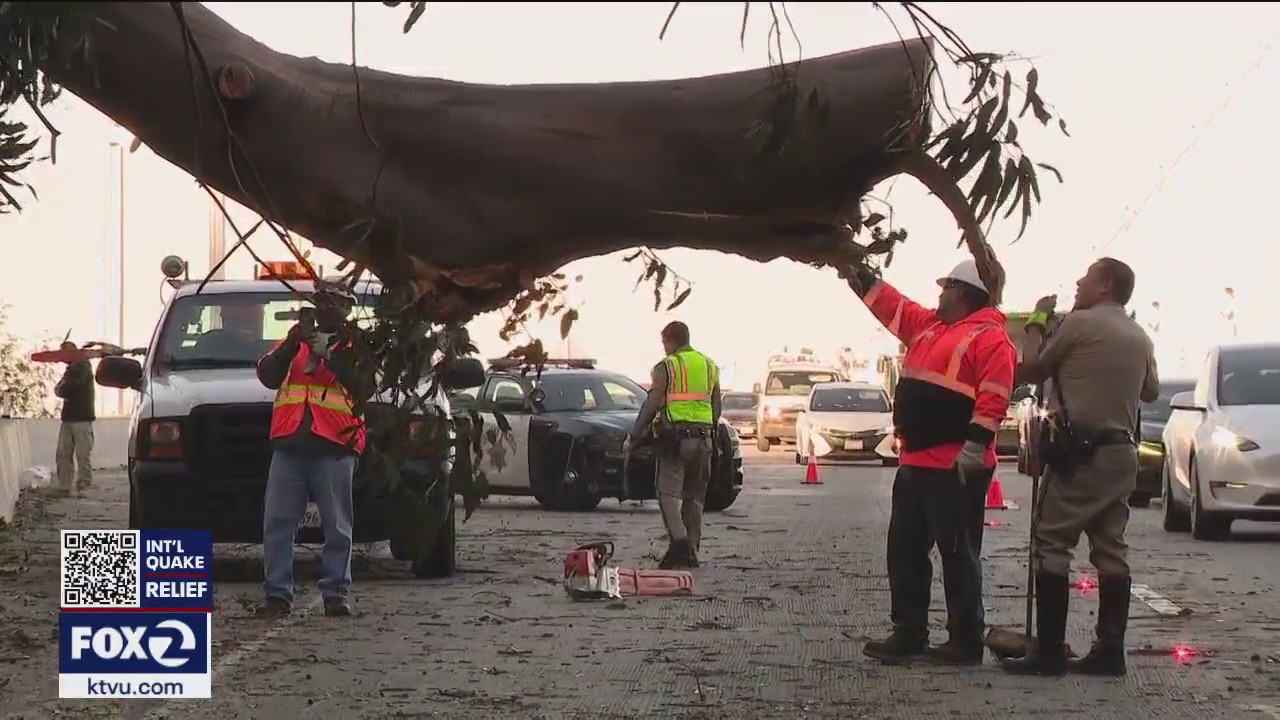 Strong winds cause chaos in San Francisco