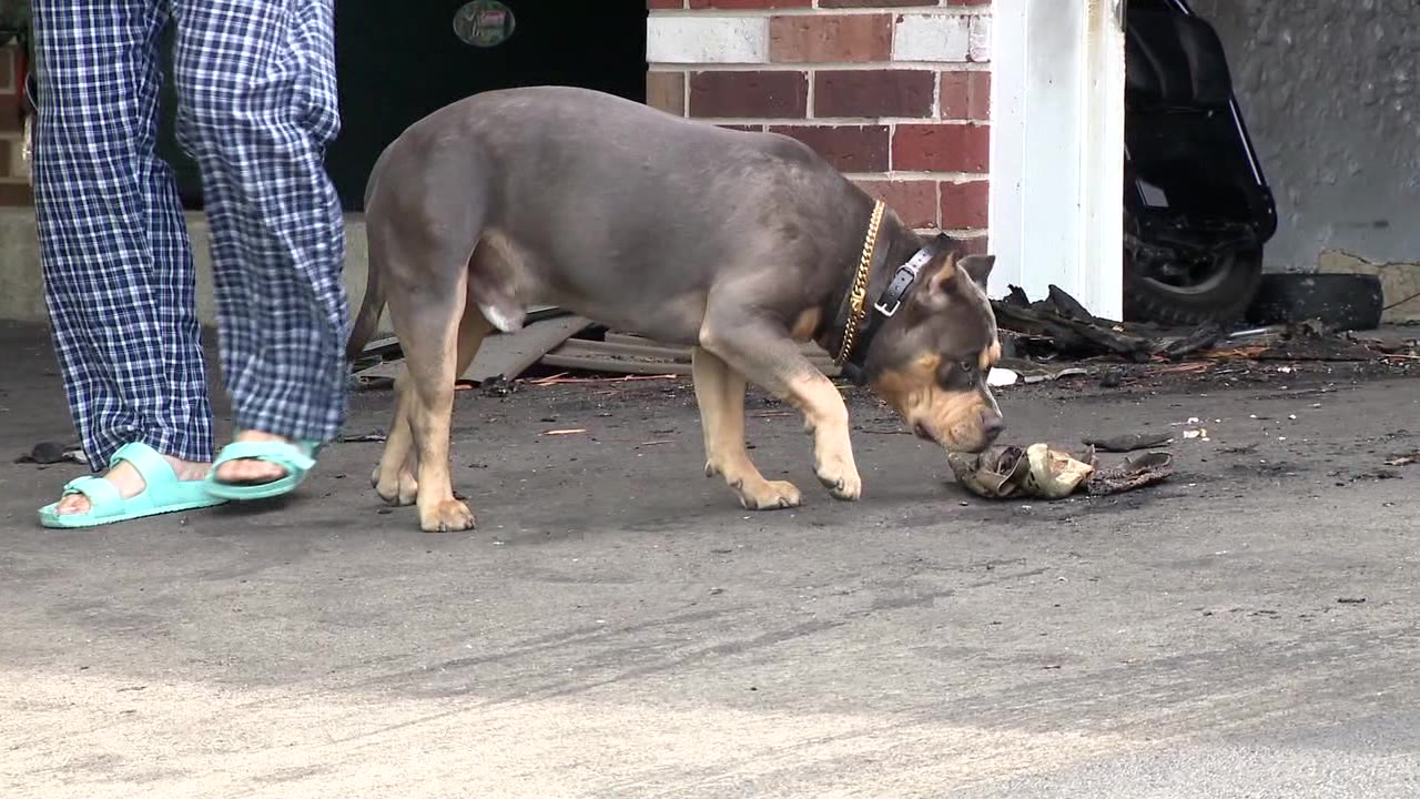 Grafton garage fire, dog alerted family