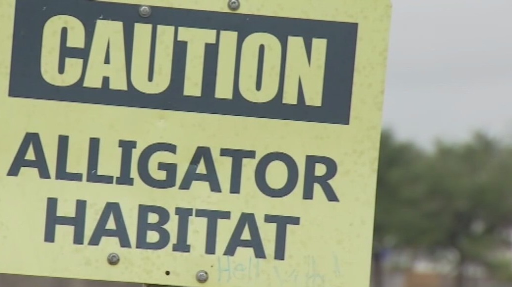 Alligator found in Del Valle pond following report of a dog attack