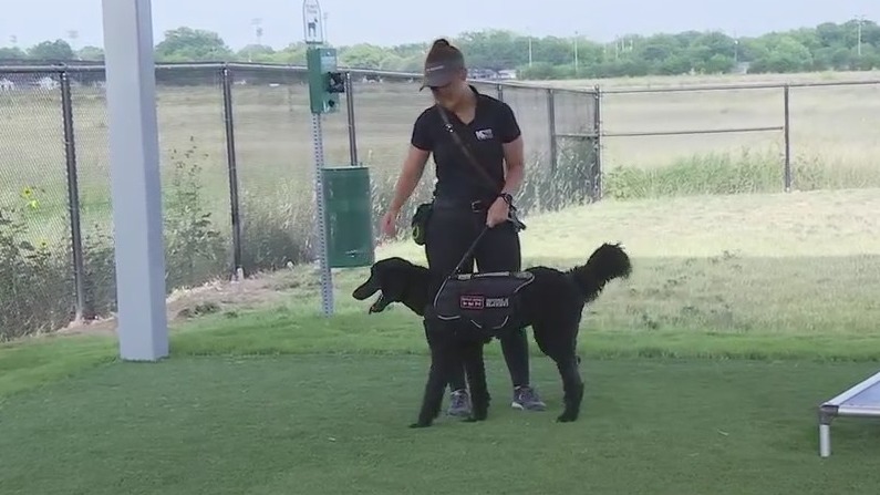 K9s for Warriors helps veterans suffering from PTSD