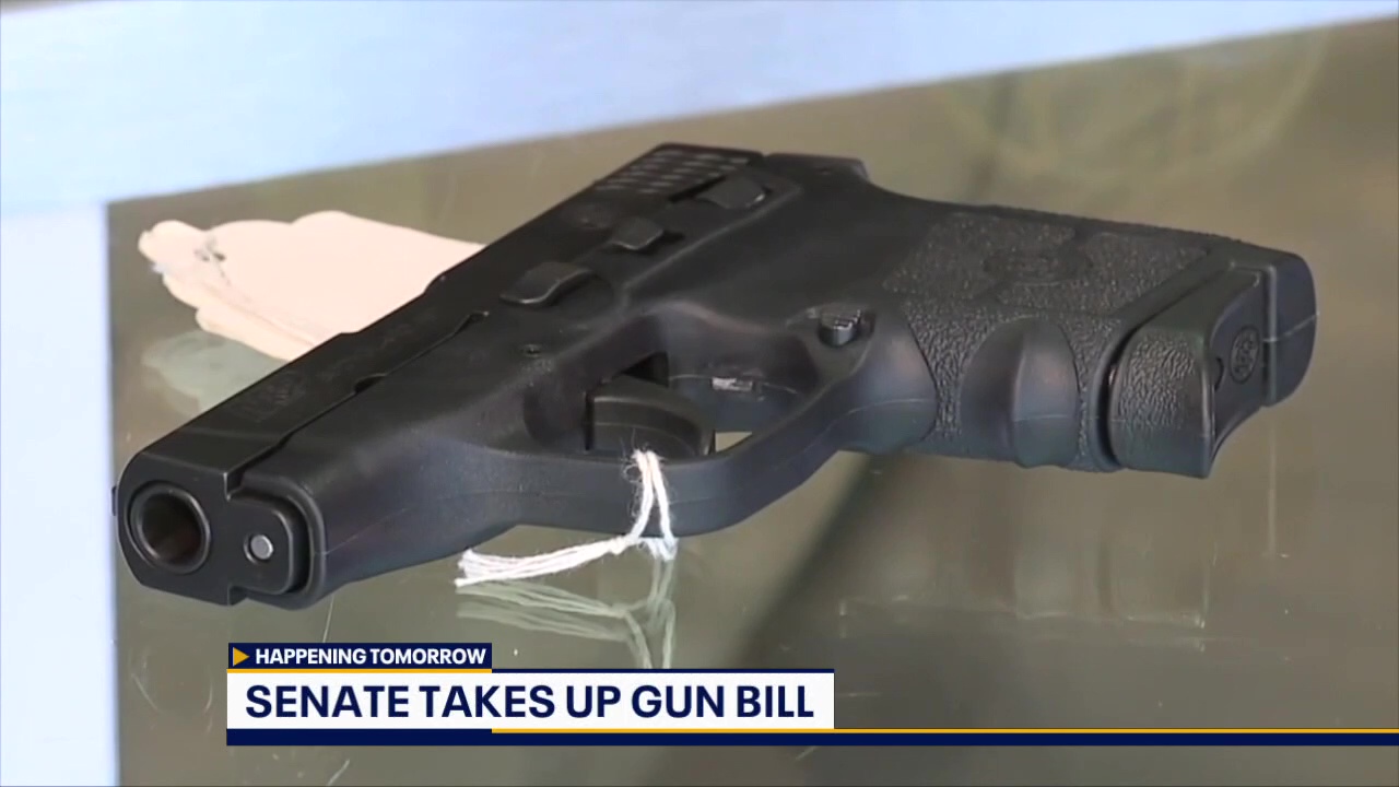 Senate Criminal Justice Committee to discuss gun legislation this week