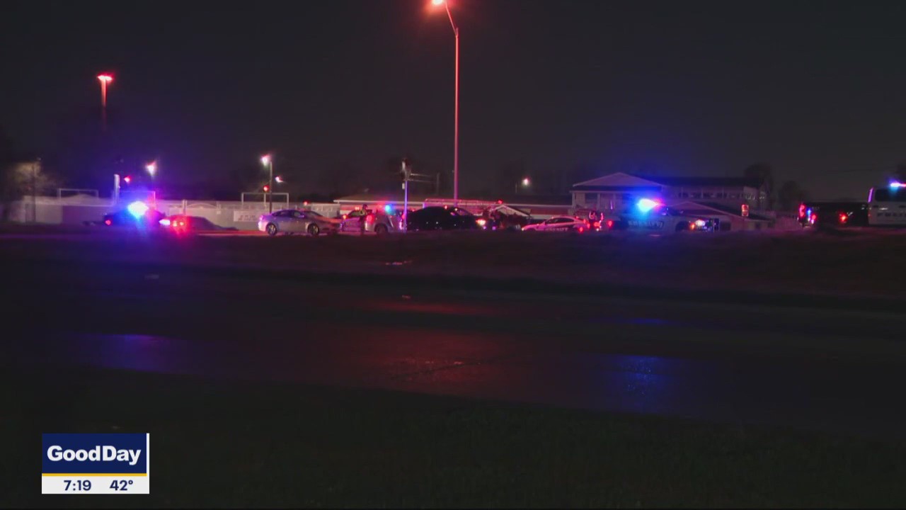 Pedestrians, horses reportedly struck on Dallas highway