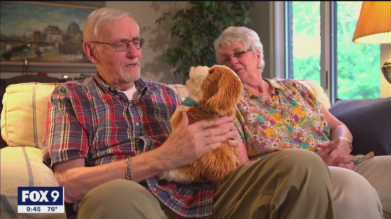 Robotic pets used to help dementia patients