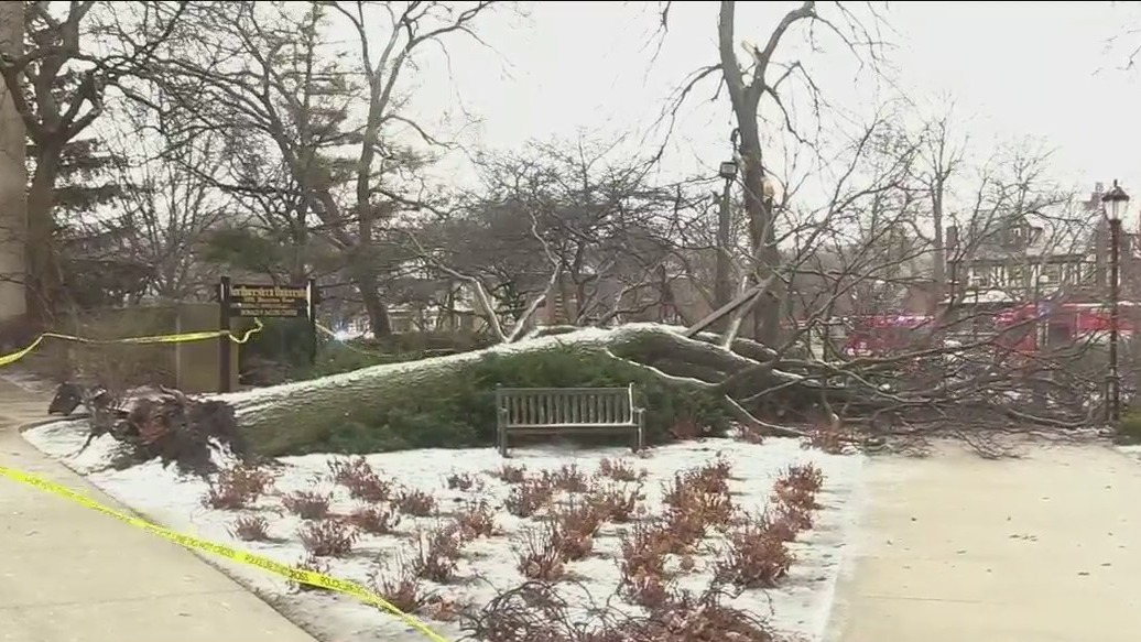 First winter storm of February hits Chicago area with snow