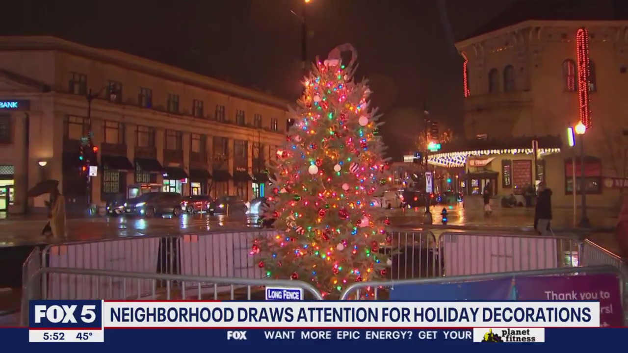 Columbia Heights 'Tiny Timber' Christmas tree small but mighty