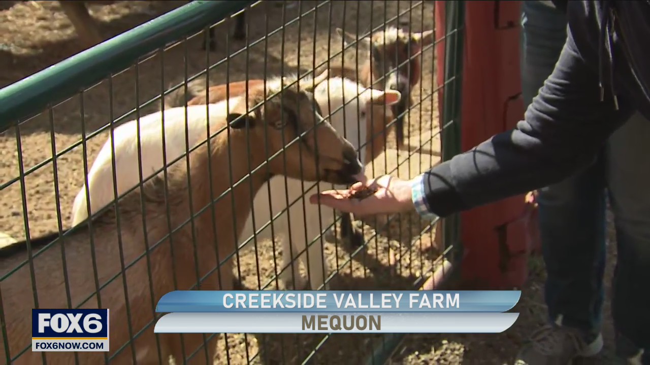 Outdoor family fun at Creekside Valley Farm