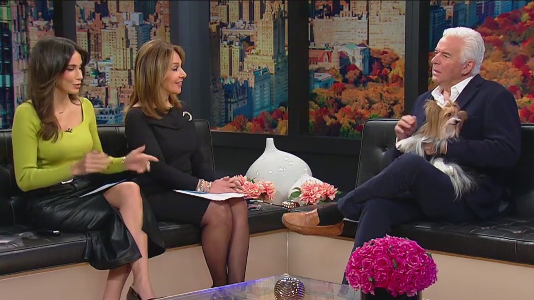 ‘The National Dog Show’ preview