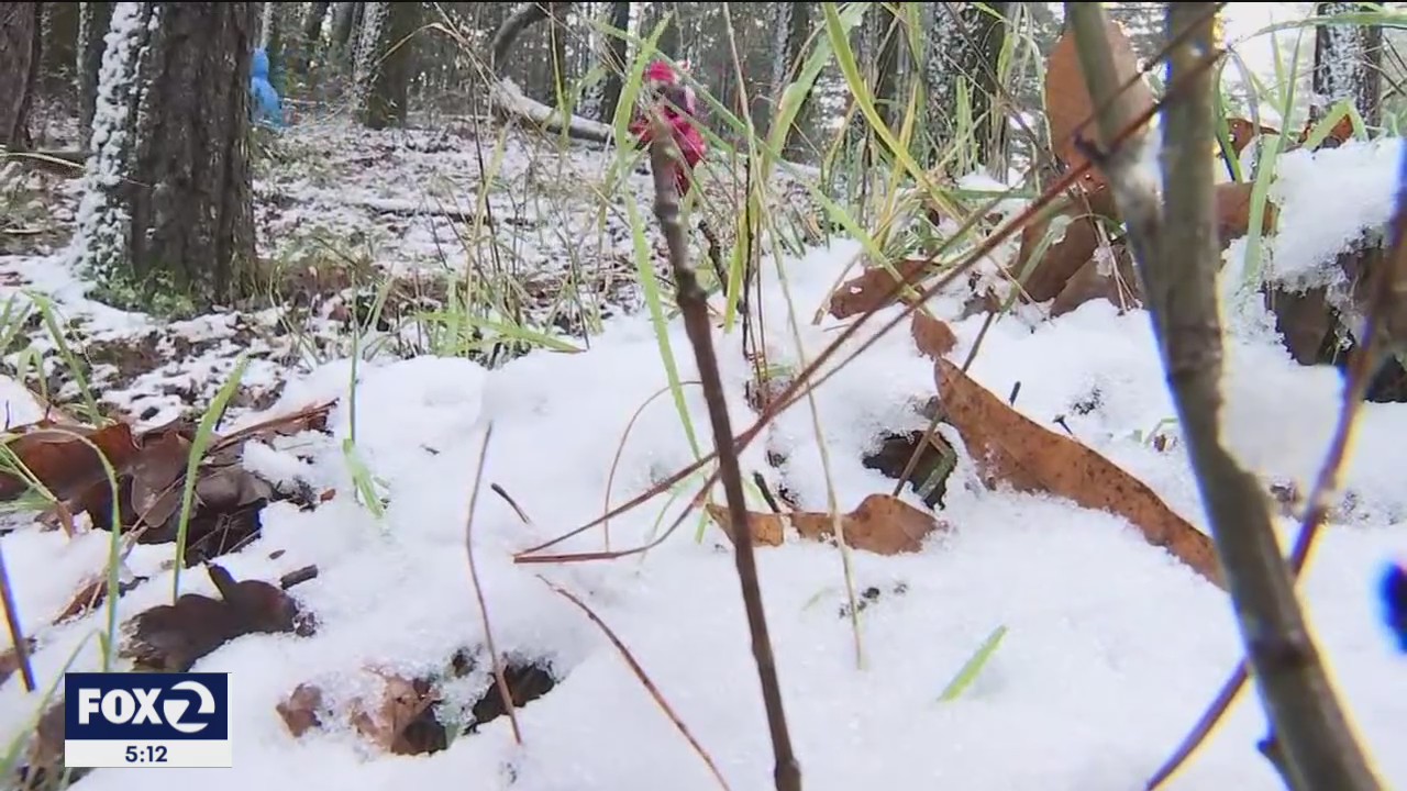 Low altitude snow draws Bay Area locals