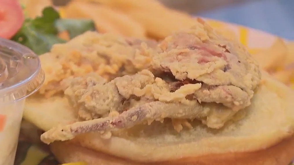 Burgers, barbeque to hot dogs and hot wings