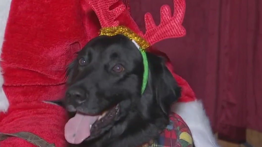 Santa Paws event helps raise money for San Marcos Regional Animal Shelter