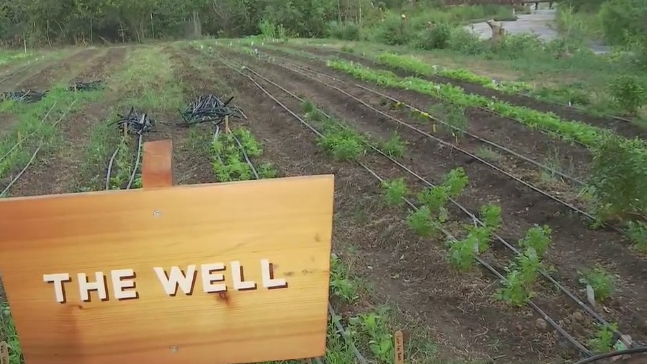 Highlighting Central Texas food systems at Field Guide Festival