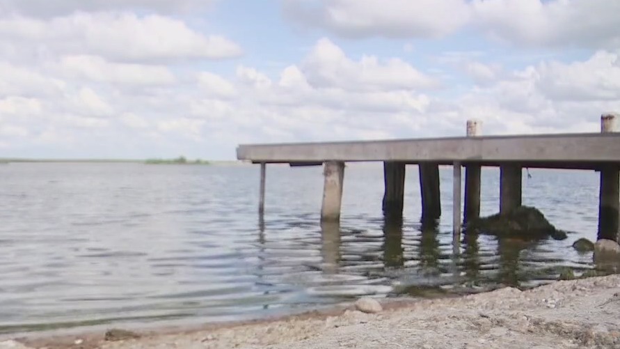 Lake Walter E. Long infested with zebra mussels