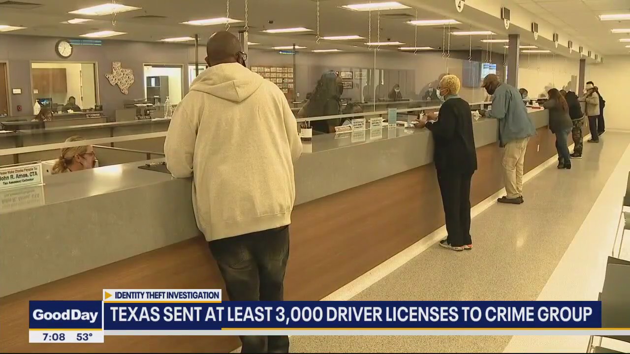 Texas sent at least 3,000 driver's licenses to crime group