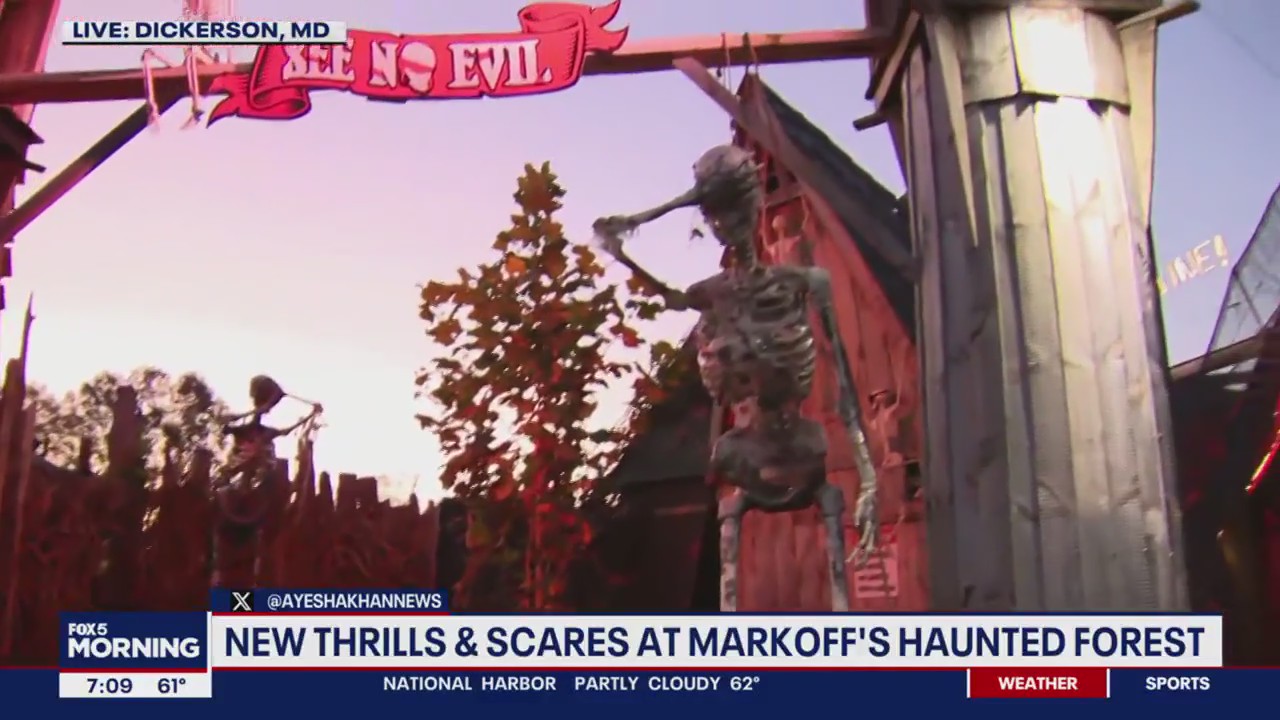 Markoff's Haunted Forest shows off some new thrills and scares