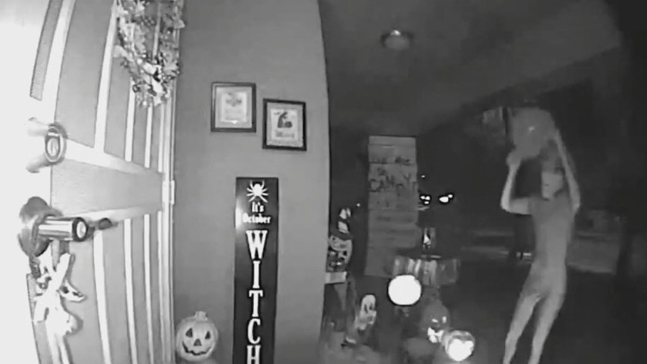 Ring's alien contest