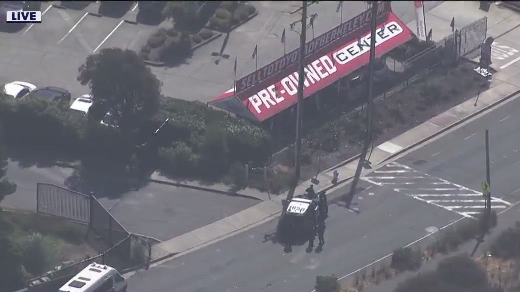 Police activity at Albany car dealership