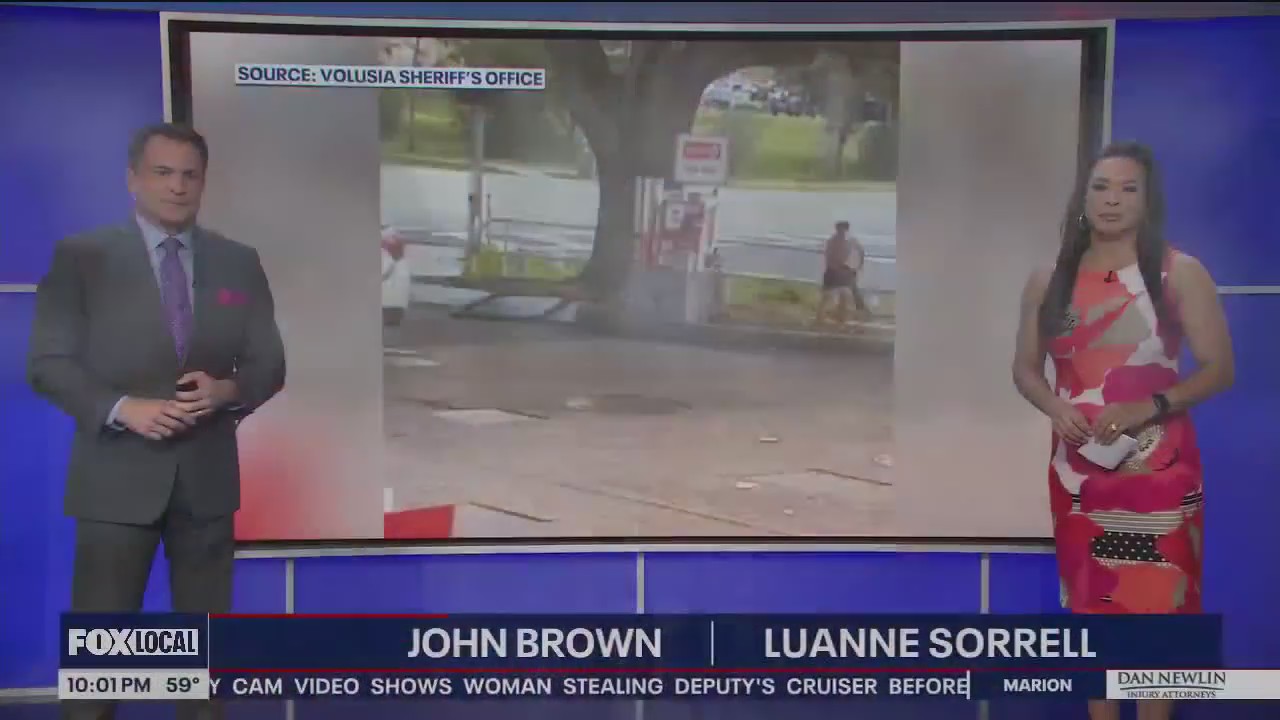 Man caught on video beating his dog in public