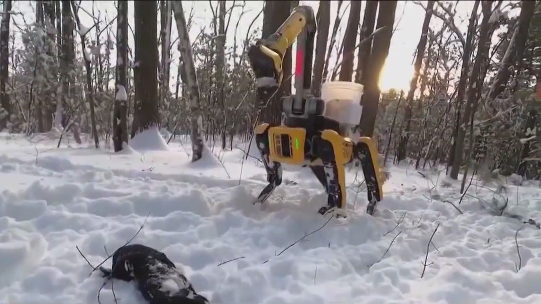 LA City Council delays vote on LAPD robot dog