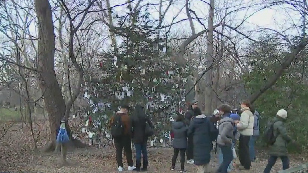 Pet memorial Christmas Tree in Central Park