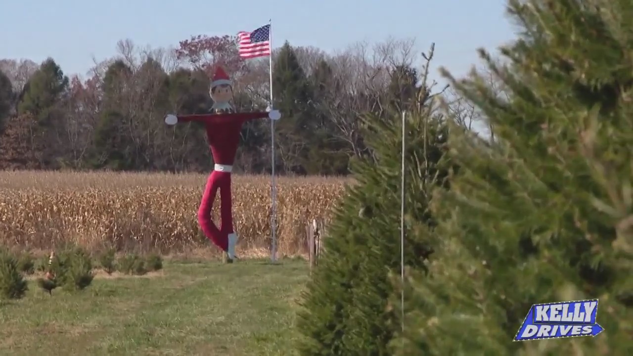 Tree trimming at Exley’s Christmas Tree Farm