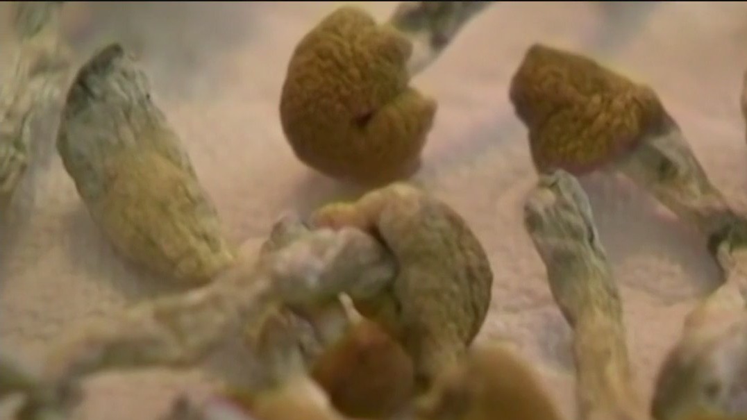 Bill to decriminalize some psychedelics heads to Gov. Newsom's desk