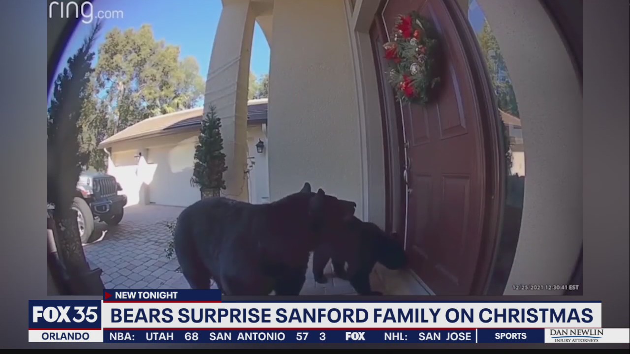 Bears spotted outside Sanford home