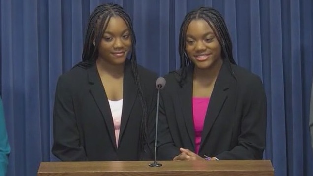 Twins push for more diverse reading assignments