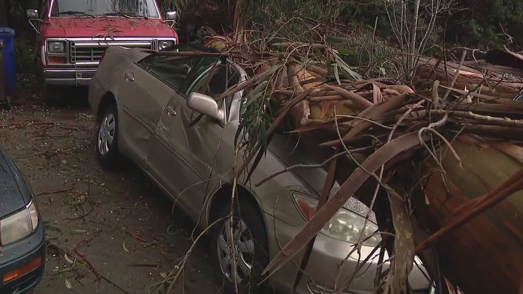California reels from powerful storm