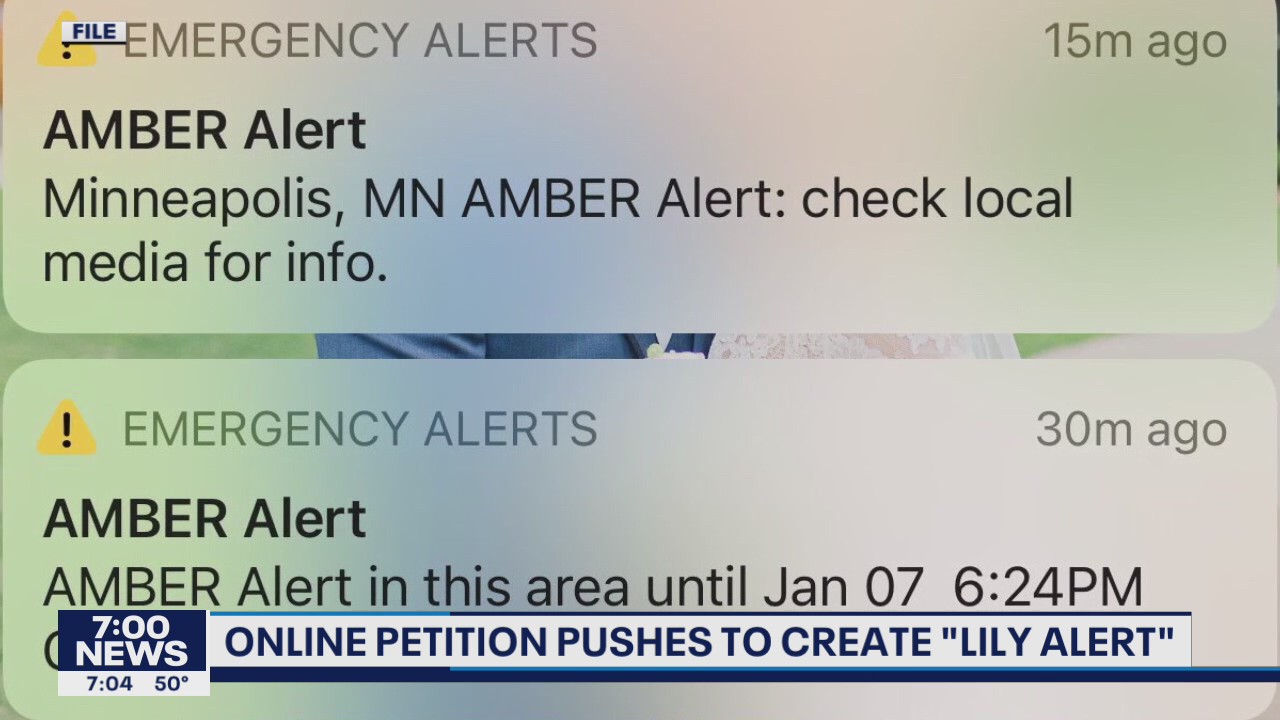 Push for ‘Lily alert’ after tragic death