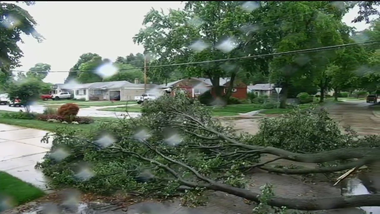 Storm damage found in Plymouth-Livonia area following Wednesday storms