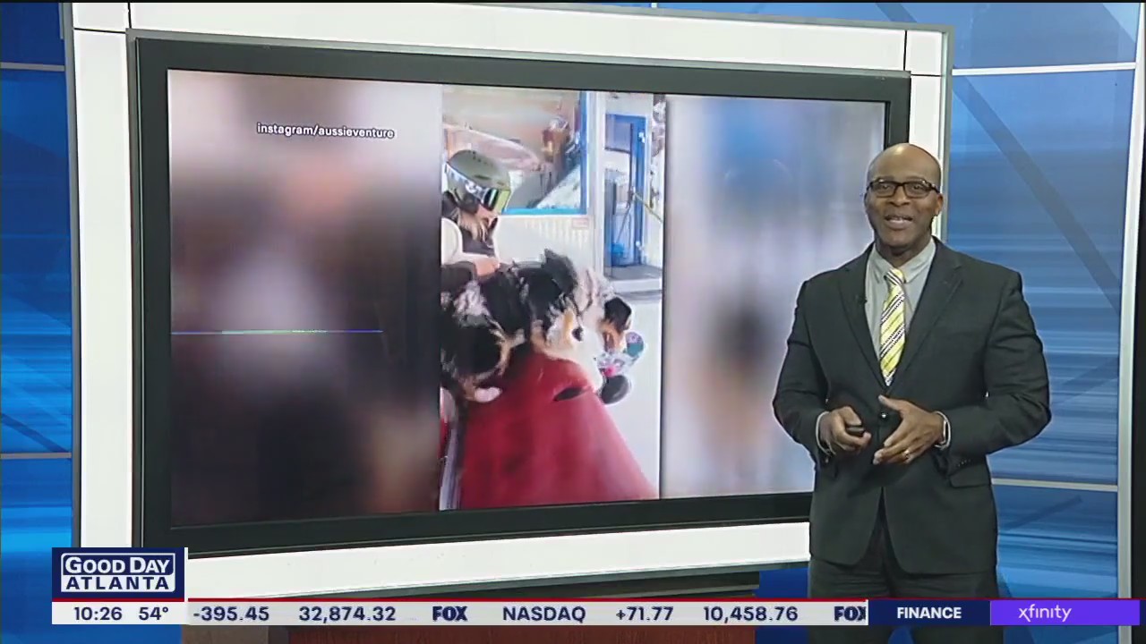 Snowboarding dog hits the slopes with owner