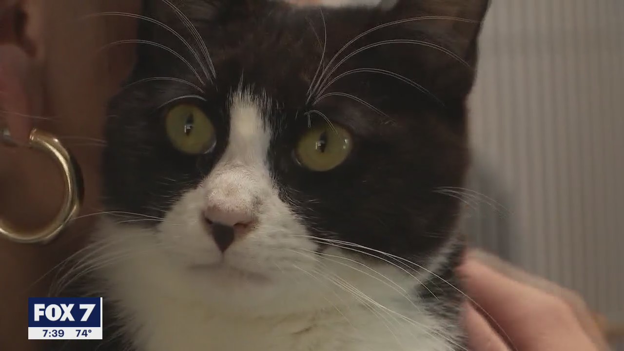 Pet of the Weekend: Barry and Dahlia