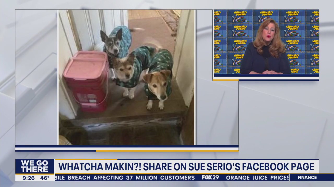 Whatcha Makin?: Eagles playoff edition